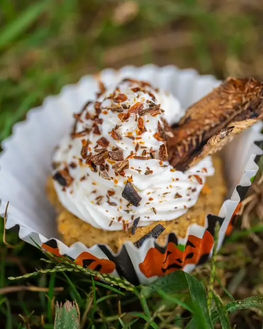 all natural pupcakes all natural pupcakes