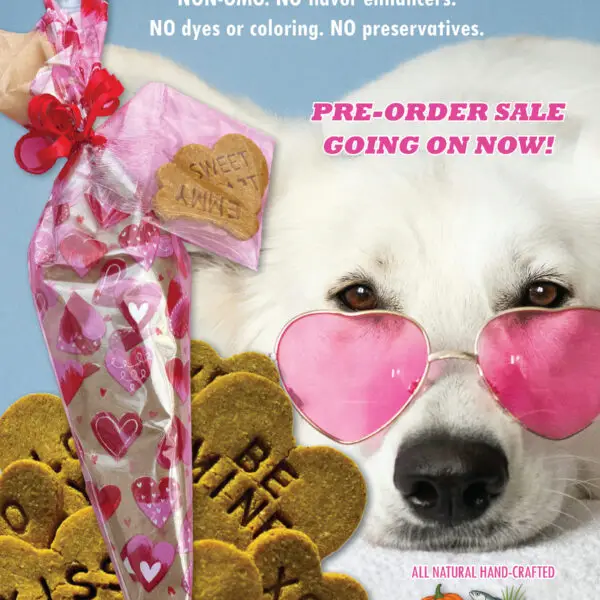 sweetheart cones
